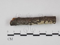 登錄號:F0017769藏品圖，第3張