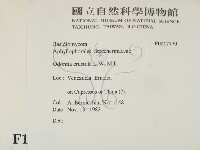 登錄號:F0017770藏品圖，第2張