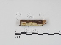 登錄號:F0017770藏品圖，第3張