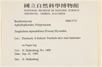 登錄號:F0017771藏品圖，第2張