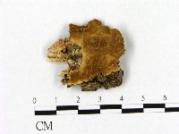登錄號:F0017774藏品圖，第1張