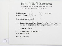 登錄號:F0017775藏品圖，第2張