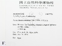 登錄號:F0017776藏品圖，第2張