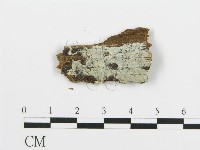 登錄號:F0017777藏品圖，第1張
