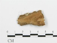 登錄號:F0017777藏品圖，第3張