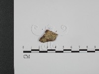 登錄號:F0017778藏品圖，第1張