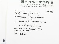 登錄號:F0017779藏品圖，第2張