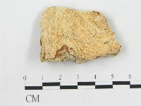 登錄號:F0017779藏品圖，第3張