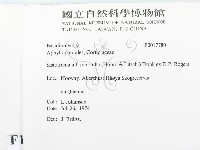 登錄號:F0017780藏品圖，第2張