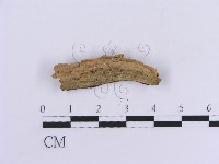 登錄號:F0017782藏品圖，第4張