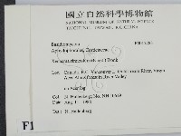 登錄號:F0017783藏品圖，第2張