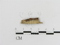 登錄號:F0017784藏品圖，第1張