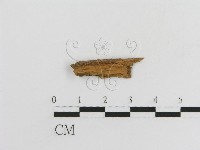 登錄號:F0017784藏品圖，第3張