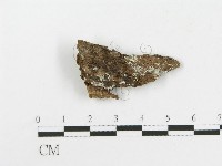 登錄號:F0017785藏品圖，第1張