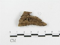 登錄號:F0017785藏品圖，第3張