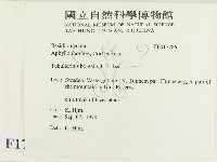 登錄號:F0017786藏品圖，第2張