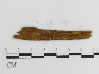 登錄號:F0017786藏品圖，第3張
