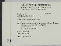登錄號:F0017787藏品圖，第2張