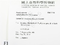 登錄號:F0017788藏品圖，第2張