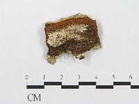 登錄號:F0017788藏品圖，第1張