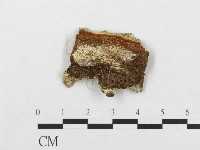 登錄號:F0017788藏品圖，第3張