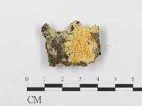 登錄號:F0017788藏品圖，第4張
