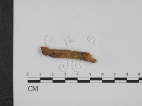 登錄號:F0017789藏品圖，第1張