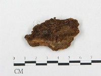 登錄號:F0017790藏品圖，第3張