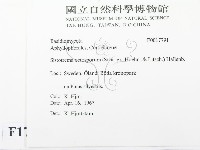 登錄號:F0017791藏品圖，第2張