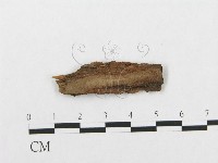 登錄號:F0017791藏品圖，第3張