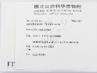 登錄號:F0017792藏品圖，第2張