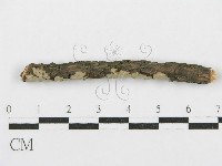 登錄號:F0017792藏品圖，第4張