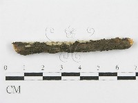 登錄號:F0017792藏品圖，第5張