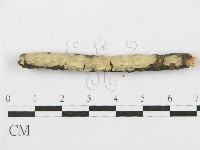 登錄號:F0017792藏品圖，第6張