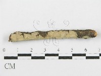 登錄號:F0017792藏品圖，第7張