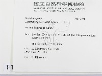 登錄號:F0017794藏品圖，第2張