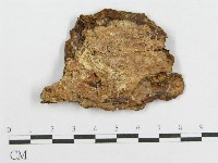 登錄號:F0017794藏品圖，第1張