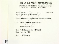 登錄號:F0017795藏品圖，第2張