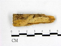 登錄號:F0017795藏品圖，第1張