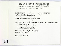 登錄號:F0017796藏品圖，第2張