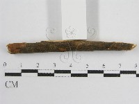 登錄號:F0017799藏品圖，第4張