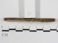 登錄號:F0017799藏品圖，第5張