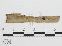 登錄號:F0017800藏品圖，第1張