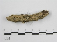 登錄號:F0017801藏品圖，第1張
