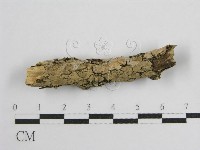 登錄號:F0017801藏品圖，第3張