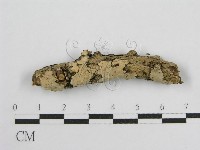 登錄號:F0017801藏品圖，第4張