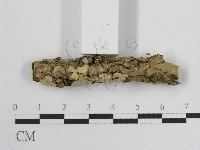 登錄號:F0017801藏品圖，第5張