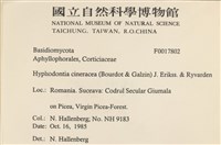 登錄號:F0017802藏品圖，第2張