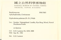 登錄號:F0017803藏品圖，第2張