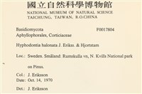 登錄號:F0017804藏品圖，第2張